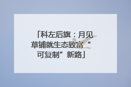 科左后旗：月见草铺就生态致富“可复制”新路