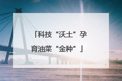 科技“沃土”孕育油菜“金种”