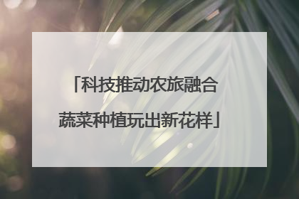 科技推动农旅融合 蔬菜种植玩出新花样