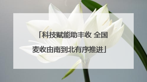 科技赋能助丰收 全国麦收由南到北有序推进