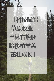 科技赋能草原牧业 巴林右旗胚胎移植羊羔茁壮成长