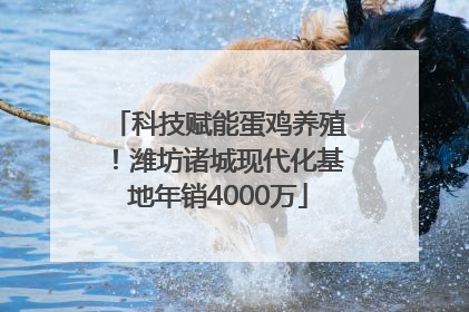 科技赋能蛋鸡养殖！潍坊诸城现代化基地年销4000万