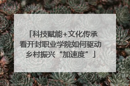 科技赋能+文化传承 看开封职业学院如何驱动乡村振兴“加速度”