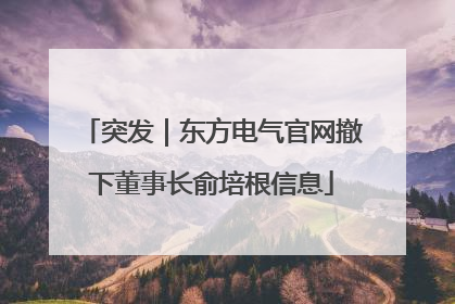突发｜东方电气官网撤下董事长俞培根信息
