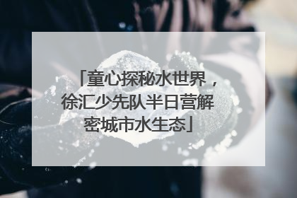 童心探秘水世界，徐汇少先队半日营解密城市水生态