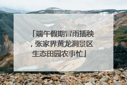 端午假期冒雨插秧，张家界黄龙洞景区生态田园农事忙