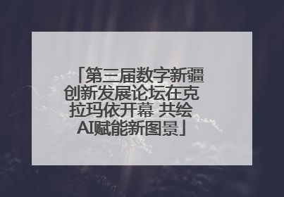 第三届数字新疆创新发展论坛在克拉玛依开幕 共绘AI赋能新图景