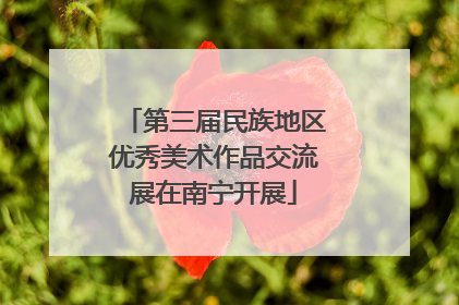 第三届民族地区优秀美术作品交流展在南宁开展