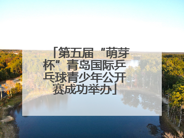 第五届“萌芽杯”青岛国际乒乓球青少年公开赛成功举办