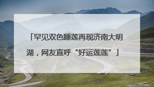罕见双色睡莲再现济南大明湖，网友直呼“好运莲莲”