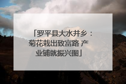 罗平县大水井乡：菊花栽出致富路 产业铺就振兴图