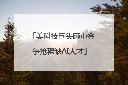 美科技巨头砸重金争抢稀缺AI人才