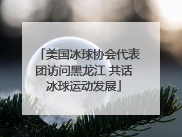 美国冰球协会代表团访问黑龙江 共话冰球运动发展