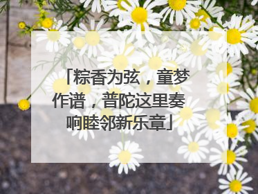 粽香为弦，童梦作谱，普陀这里奏响睦邻新乐章