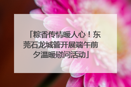 粽香传情暖人心！东莞石龙城管开展端午前夕温暖慰问活动