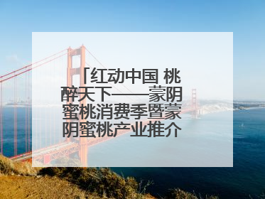 红动中国 桃醉天下——蒙阴蜜桃消费季暨蒙阴蜜桃产业推介会成功举办