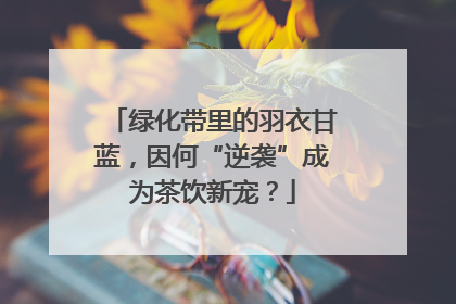 绿化带里的羽衣甘蓝，因何“逆袭”成为茶饮新宠？