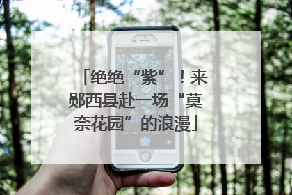 绝绝“紫”！来郧西县赴一场“莫奈花园”的浪漫