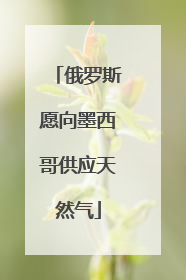俄罗斯愿向墨西哥供应天然气