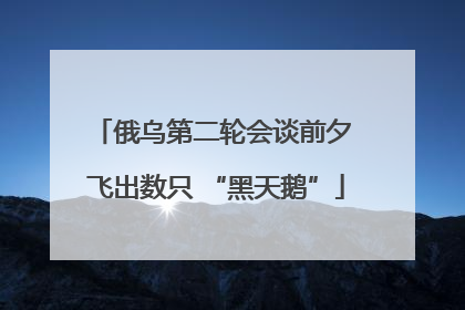 俄乌第二轮会谈前夕 飞出数只 “黑天鹅”