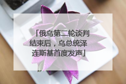 俄乌第二轮谈判结束后，乌总统泽连斯基首度发声