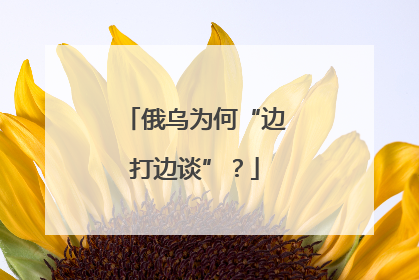 俄乌为何“边打边谈”？