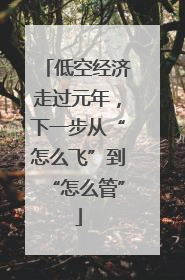 低空经济走过元年，下一步从“怎么飞”到“怎么管”