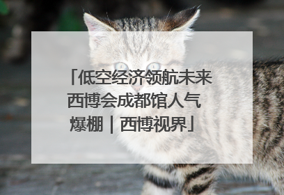 低空经济领航未来 西博会成都馆人气爆棚｜西博视界