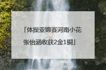 体操亚锦赛河南小花张怡涵收获2金1铜