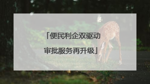 便民利企双驱动 审批服务再升级