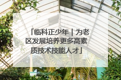 临科正少年｜为老区发展培养更多高素质技术技能人才