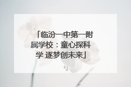 临汾一中第一附属学校：童心探科学 逐梦创未来