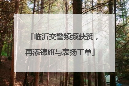 临沂交警频频获赞，再添锦旗与表扬工单