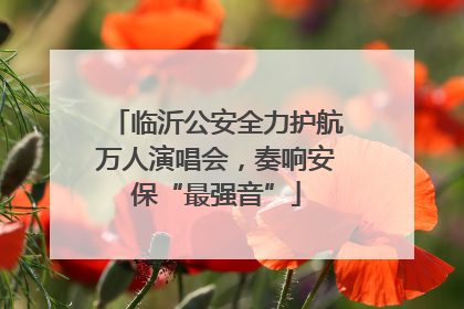 临沂公安全力护航万人演唱会，奏响安保“最强音”