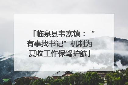 临泉县韦寨镇：“有事找书记”机制为夏收工作保驾护航