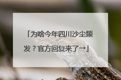 为啥今年四川沙尘频发？官方回复来了→