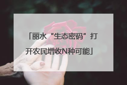 丽水“生态密码”打开农民增收N种可能