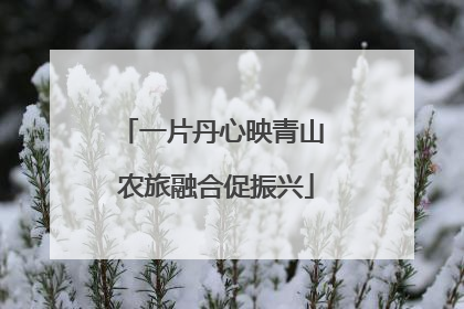 一片丹心映青山 农旅融合促振兴