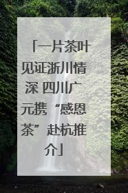 一片茶叶见证浙川情深 四川广元携“感恩茶”赴杭推介
