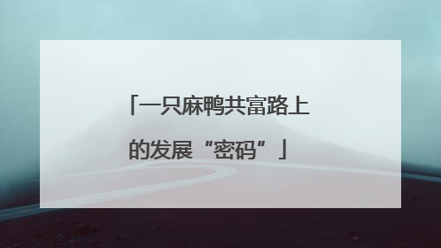 一只麻鸭共富路上的发展“密码”