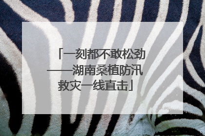一刻都不敢松劲——湖南桑植防汛救灾一线直击