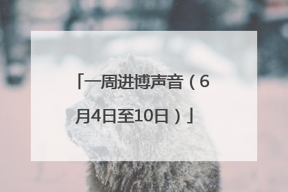 一周进博声音（6月4日至10日）