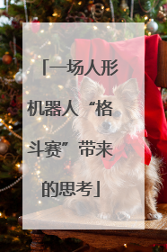 一场人形机器人“格斗赛”带来的思考
