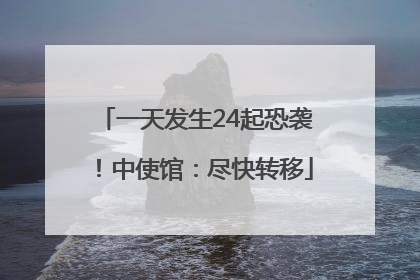 一天发生24起恐袭！中使馆：尽快转移