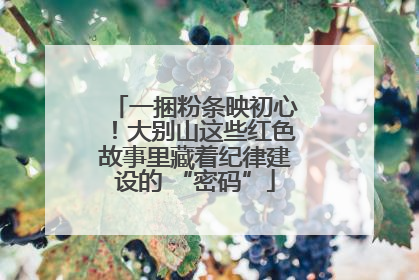 一捆粉条映初心！大别山这些红色故事里藏着纪律建设的 “密码”