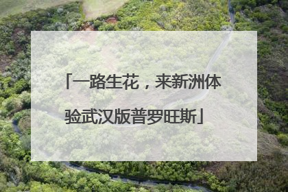 一路生花，来新洲体验武汉版普罗旺斯