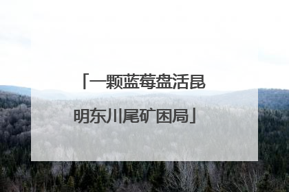 一颗蓝莓盘活昆明东川尾矿困局