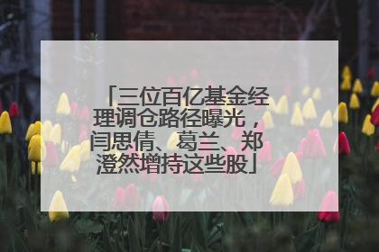 三位百亿基金经理调仓路径曝光，闫思倩、葛兰、郑澄然增持这些股