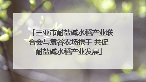 三亚市耐盐碱水稻产业联合会与袁谷农场携手 共促耐盐碱水稻产业发展