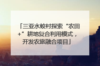 三亚水蛟村探索“农田+”耕地复合利用模式，开发农旅融合项目